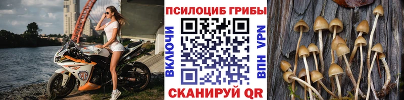 Псилоцибиновые грибы мицелий  OMG ONION  Володарск 